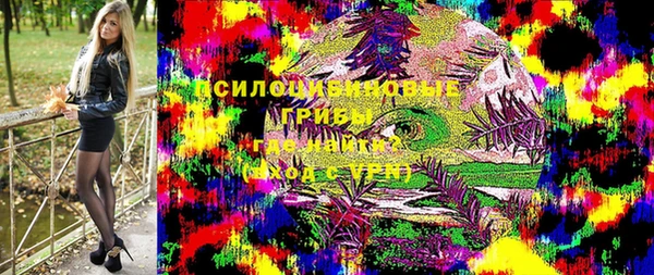 гидра Алексеевка