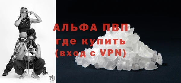 гидра Алексеевка