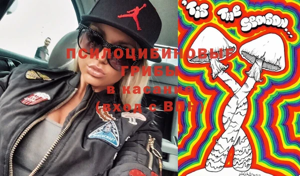 а пвп мука Алзамай