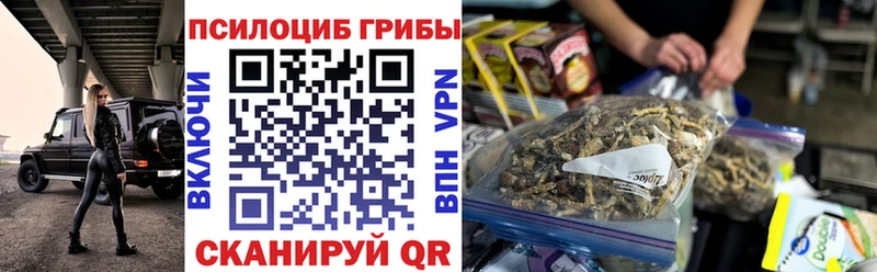 продажа наркотиков  Ачинск  Псилоцибиновые грибы GOLDEN TEACHER 